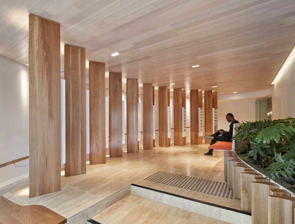   澳洲Holme公寓／建築師：John Wardle Architects  