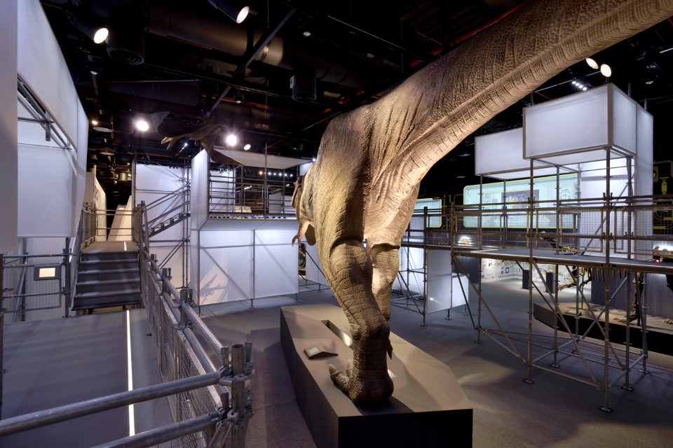 DinoLab 恐龍實驗室展場／行一建築 • 彭文苑建築師事務所：圍繞著恐龍形成環形觀賞動線：攝影：汪德範