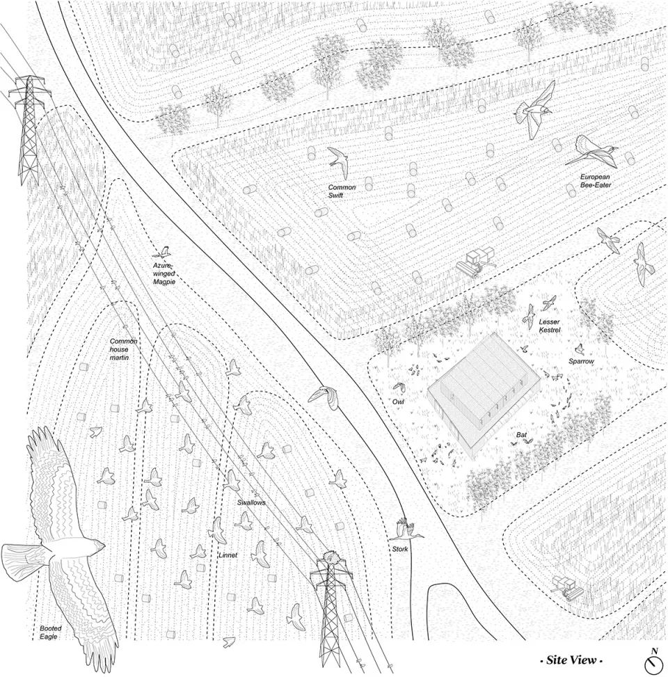 西班牙狗與人及其他物種訓練學校Educan School for Dogs, Humans and Other Species／Eeestudio + Lys Villalba