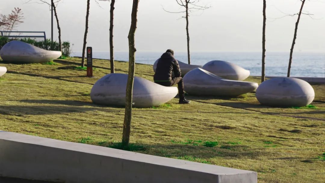 混凝土座椅和刺槐樹 土耳其水岸景觀空間改造 阿萊貝花園 Turkey İzmir Alaybey Garden waterfront landscape architecture design/Studio Evren Başbuğ