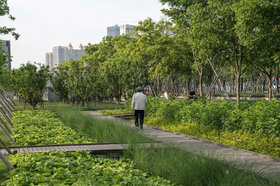 上海徐匯跑道公園 Xuhui Runway Park／設計：sasaki／位置：中國上海 landscape design 景觀設計