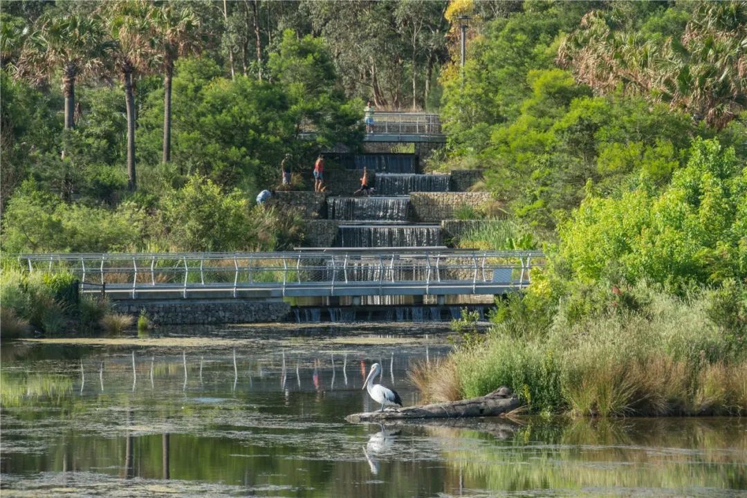  landscape design 景觀設計 雪梨公園水資源再利用 Sydney Park Water Re-Use／設計：Turf Design Studio & Environ-mental Partnership／位置：澳洲雪梨市