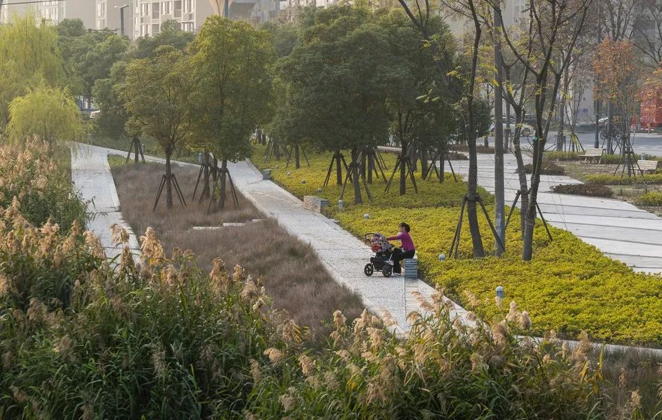  landscape design 景觀設計