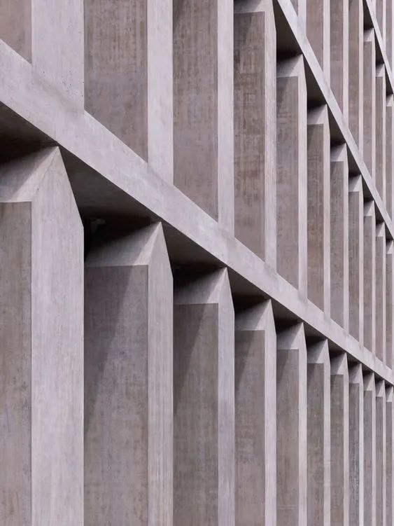 瑞士保險公司辦公大樓Baloise Insurance Company Office Tower／Valerio Olgiati
