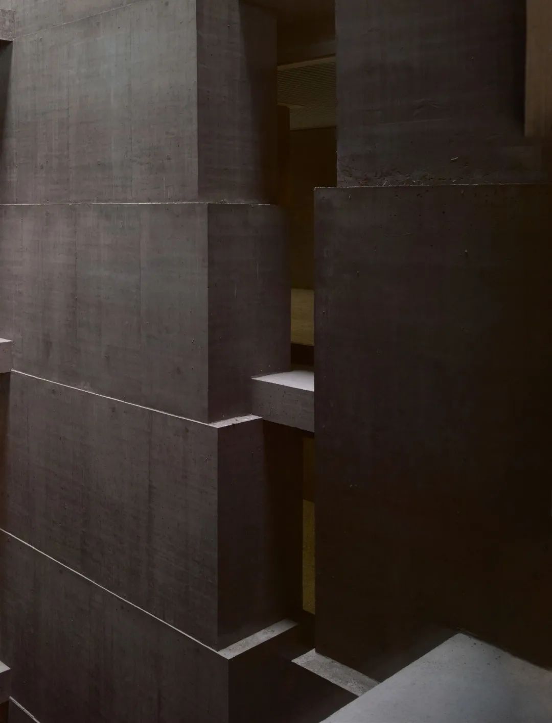 瑞士保險公司辦公大樓Baloise Insurance Company Office Tower／Valerio Olgiati