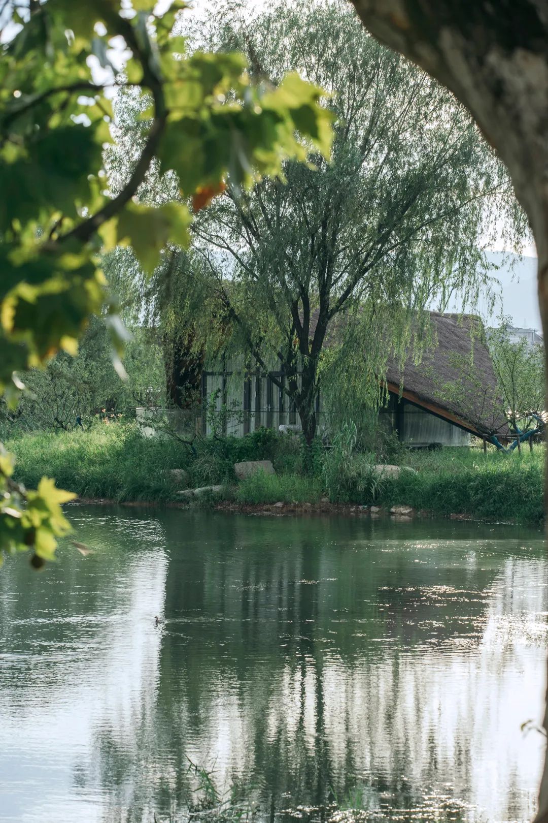 Fuyang Yangbei Lake Wetland Ecological Hotel富陽陽陂湖濕地生態酒店／尌林建築設計事務所