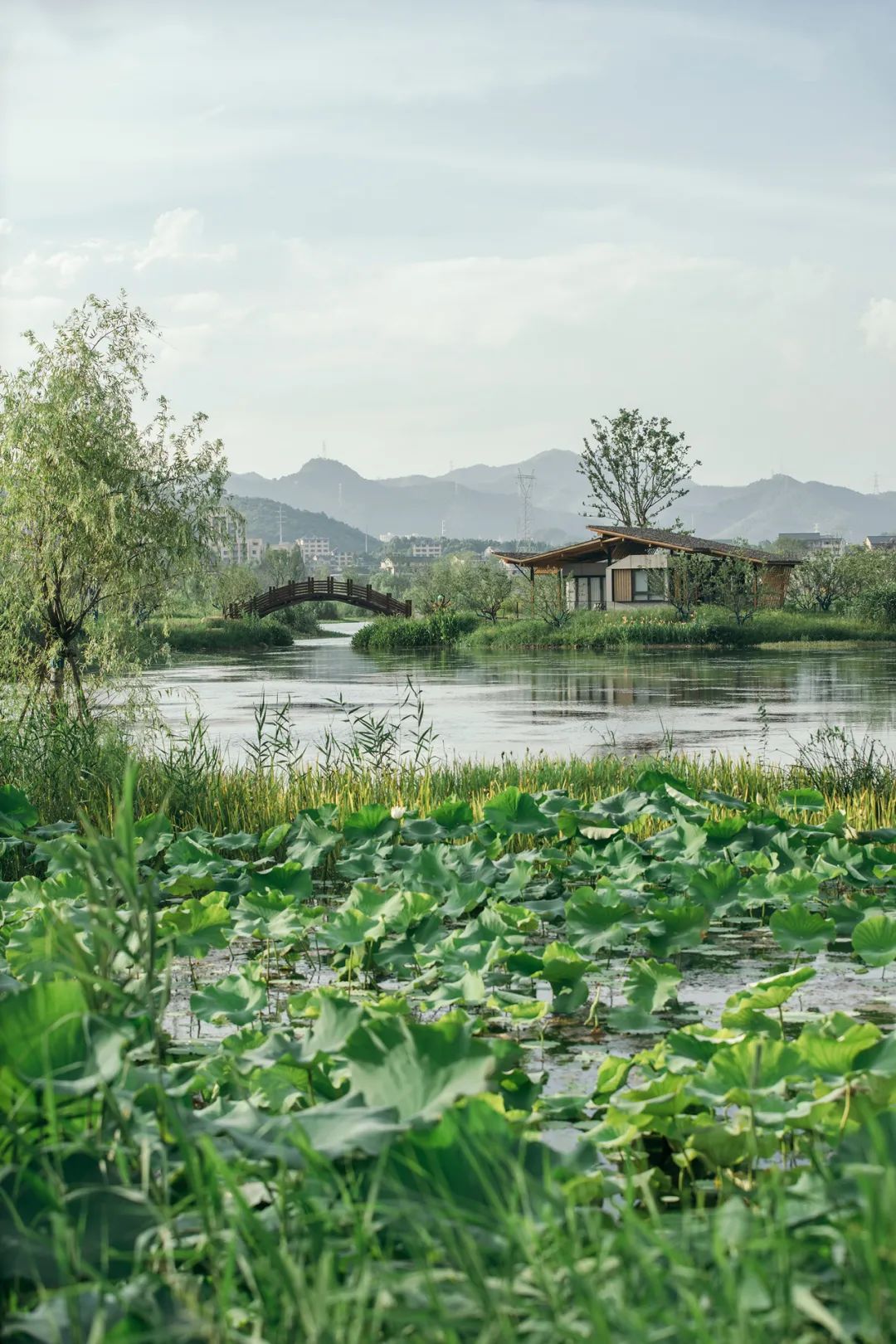 遠處看去很輕的房子 Houses with a sense of lightweight from far Fuyang Yangbei Lake Wetland Ecological Hotel富陽陽陂湖濕地生態酒店/尌林建築設計事務所