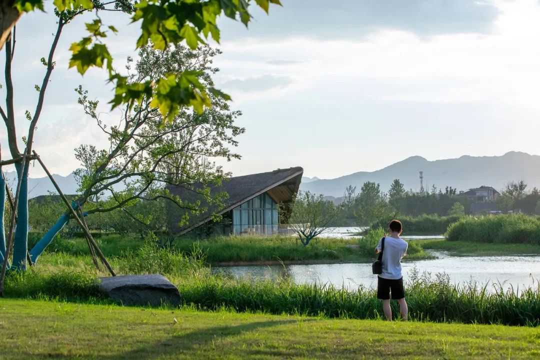 Fuyang Yangbei Lake Wetland Ecological Hotel富陽陽陂湖濕地生態酒店／尌林建築設計事務所