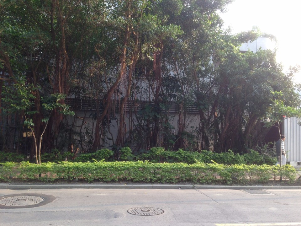 中研院生態時代展覽館／上滕聯合建築師事務所