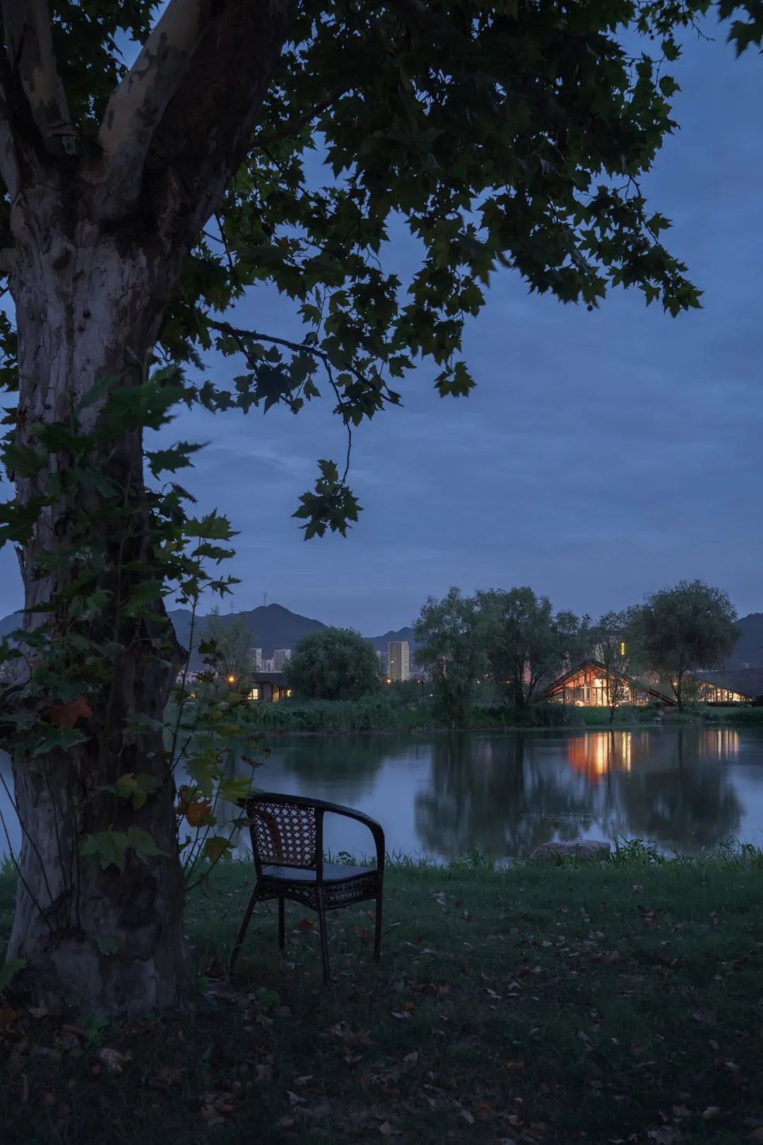 大樹底下看客房 Guesthouses seen from a tree Fuyang Yangbei Lake Wetland Ecological Hotel富陽陽陂湖濕地生態酒店／尌林建築設計事務所