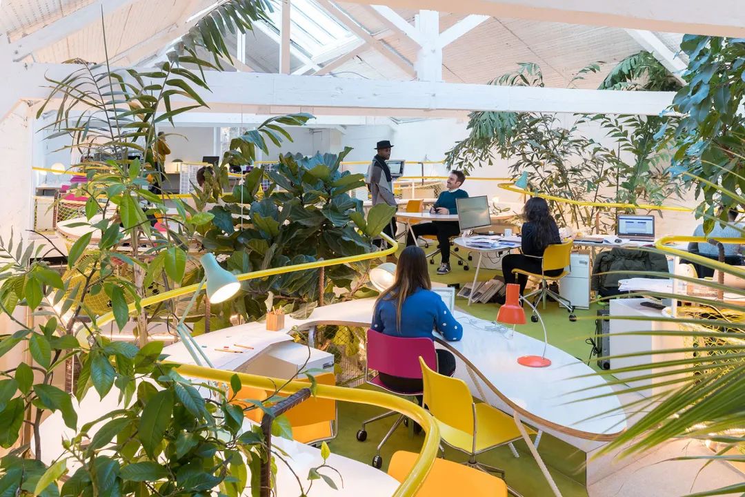 遍佈各處的綠色植栽 Netherlands Second Home office interior design 荷蘭公園辦公室室內設計／Selgascano
