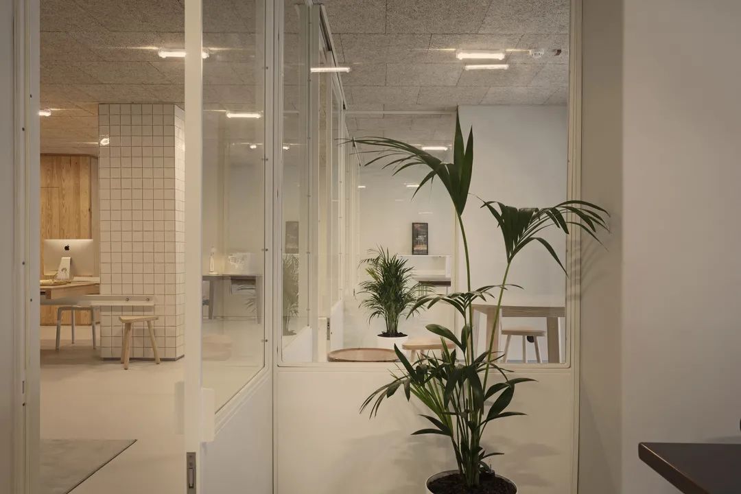 大片玻璃帶來採光及視覺通透 lisbon office interior design 里斯本辦公室室內設計D-A Studio／Domitianus-Arquitetura