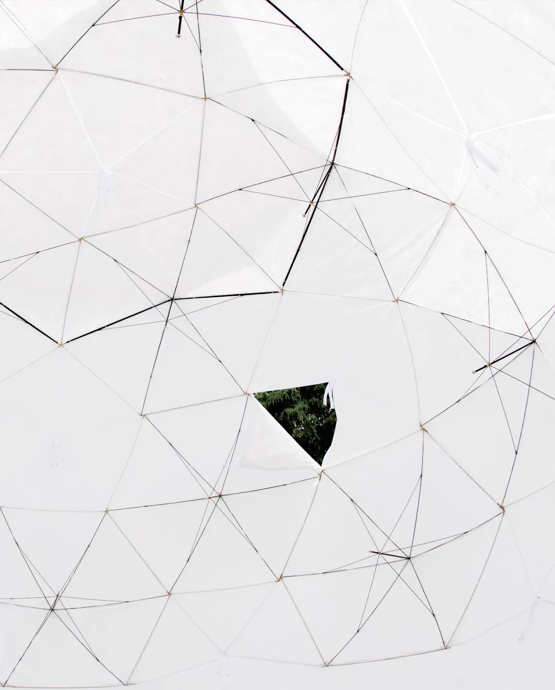 雨傘臨時避難所Casa Umbrella/隈研吾建築都市設計事務所 Kengo Kuma and Associates
