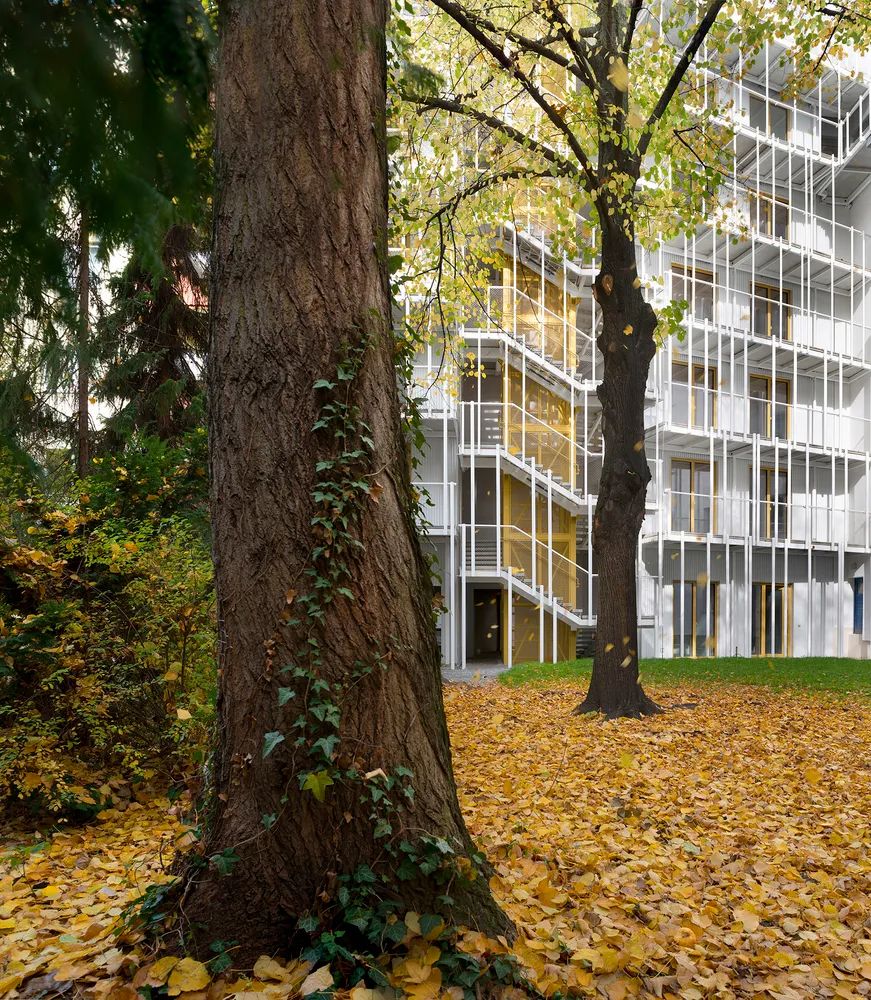 Berlin Apartment 柏林集合住宅Eisberg／rundzwei Architekten