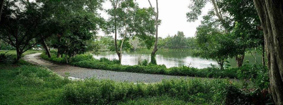 中央池塘區域 泰國考艾勝景度假區景觀設計 Thailand Khao Yai Grandview Resort 景觀設計 PRY 1／Shma Company Limited
