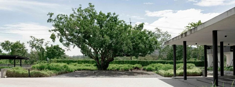 本土原生植栽 泰國考艾勝景度假區景觀設計 Thailand Khao Yai Grandview Resort 景觀設計 PRY 1／Shma Company Limited