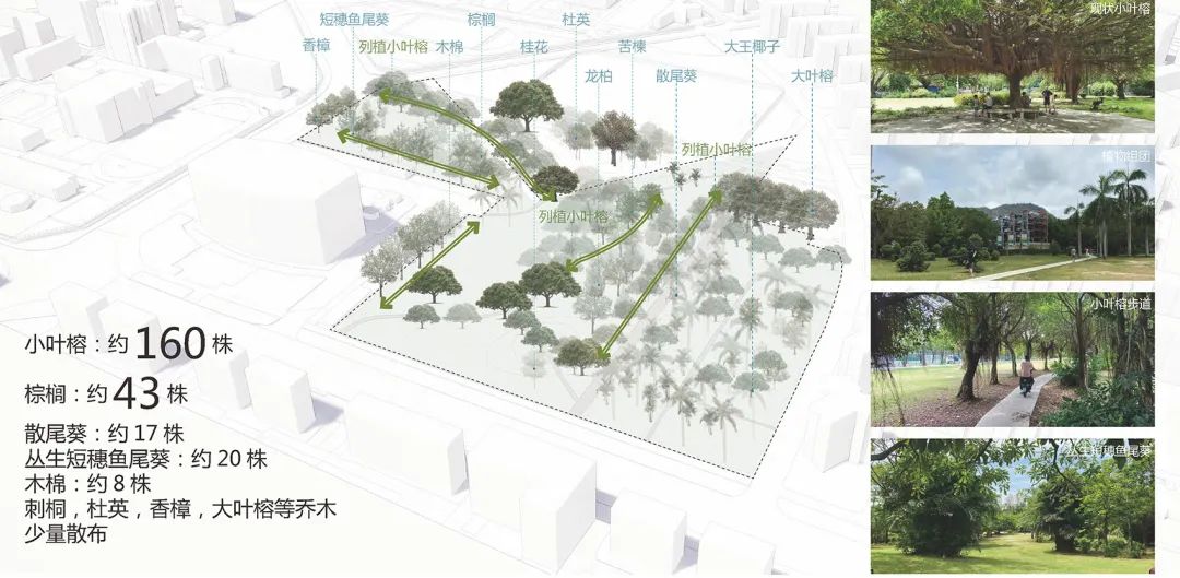 公園既有樹木精準定位 深圳蛇口時光草坪公園景觀設計 Shenzhen Park Landscape Design／SED新西林