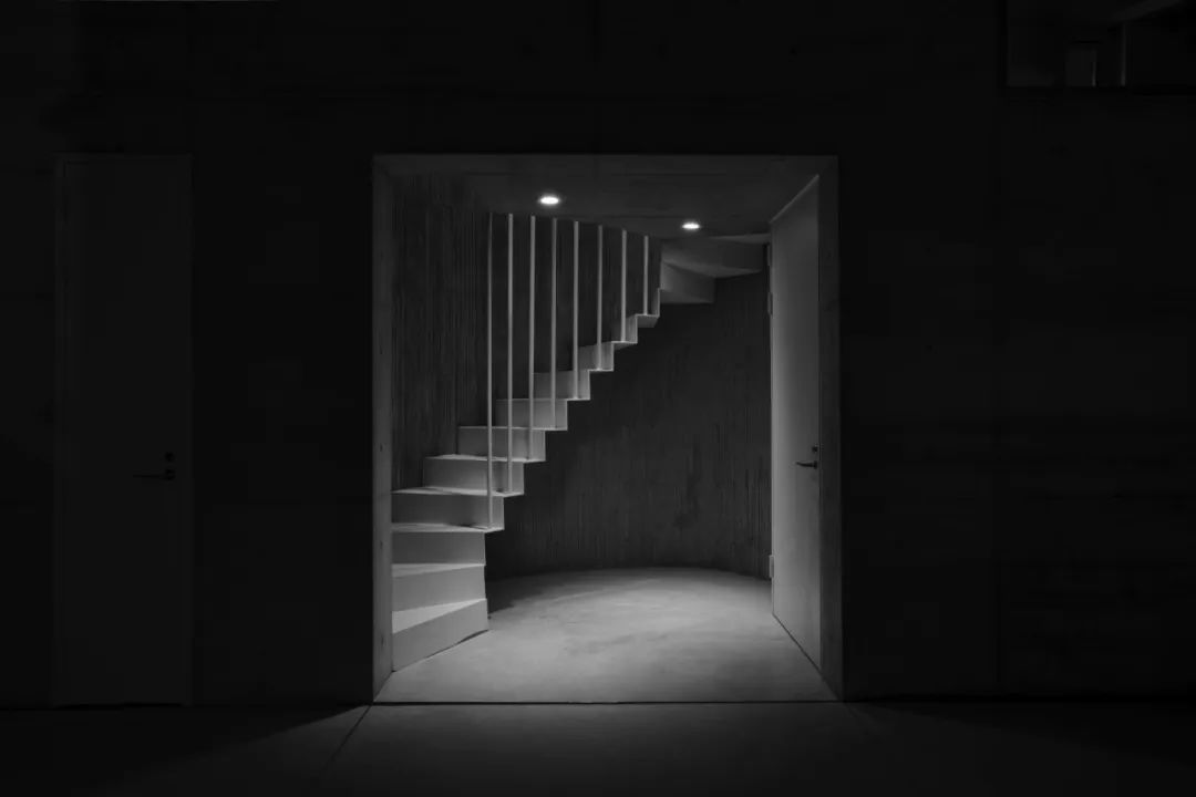新富町文化市場／林友寒 Behet Bondzio Lin Architekten