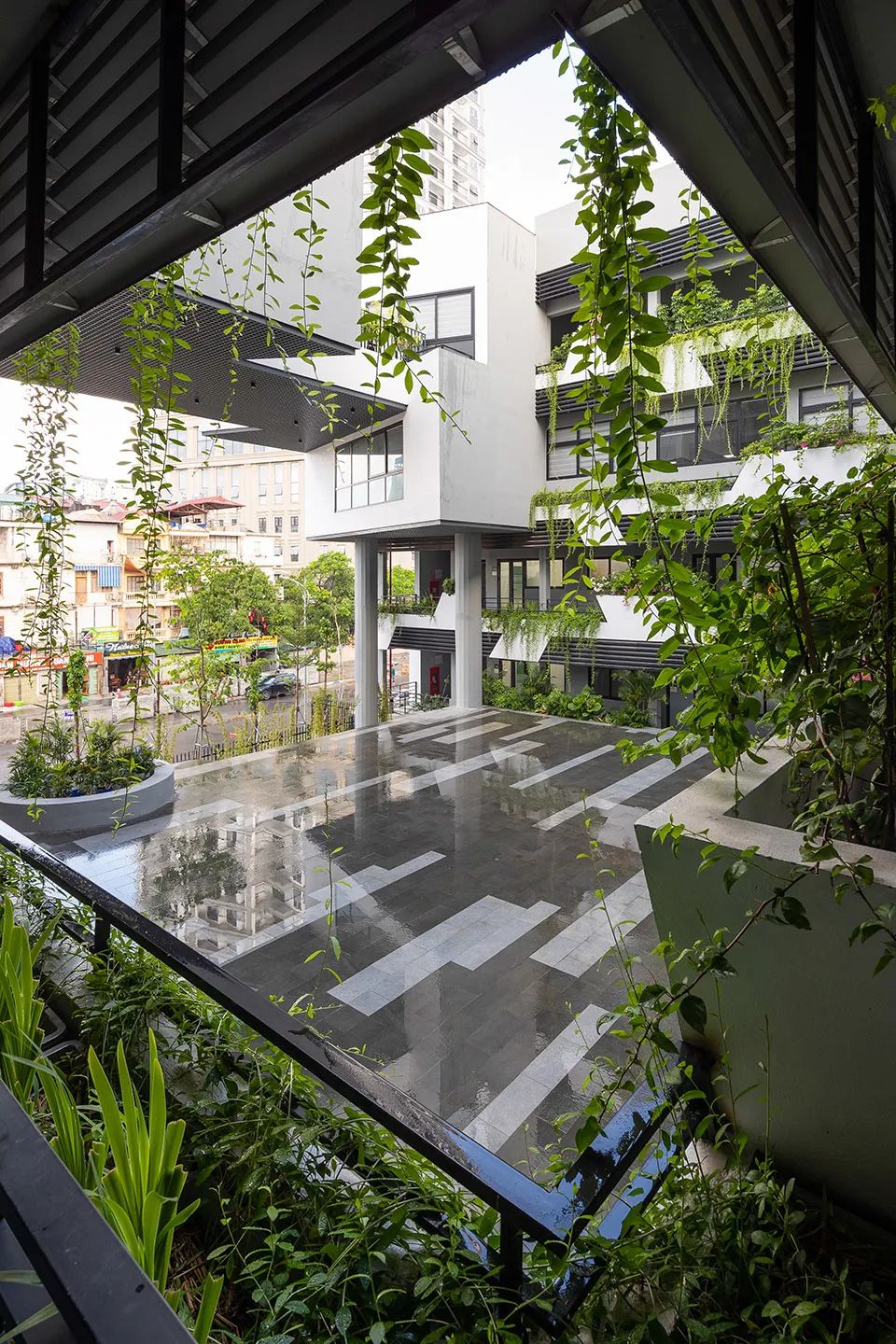 外廊與庭院布滿綠色植栽 越南高等數學研究所／1+1>2 Architects