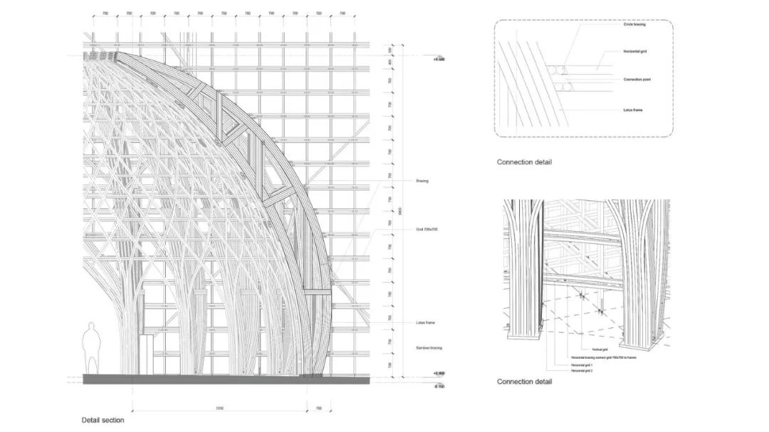 蓮花圓頂細部 富國島大世界歡迎中心Vinpearl 越南建築 竹構造 Vietnam Bamboo Structure/VTN Architects 武重義建築事務所