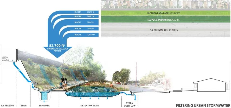 過濾城市雨水：得益於周圍基地的地形，Ricardo Lara線性公園容納了24英畝的集水區。公園內的生物濕地能夠過濾來自I-105公路的一半徑流，並重新為地下水位提供補給。
