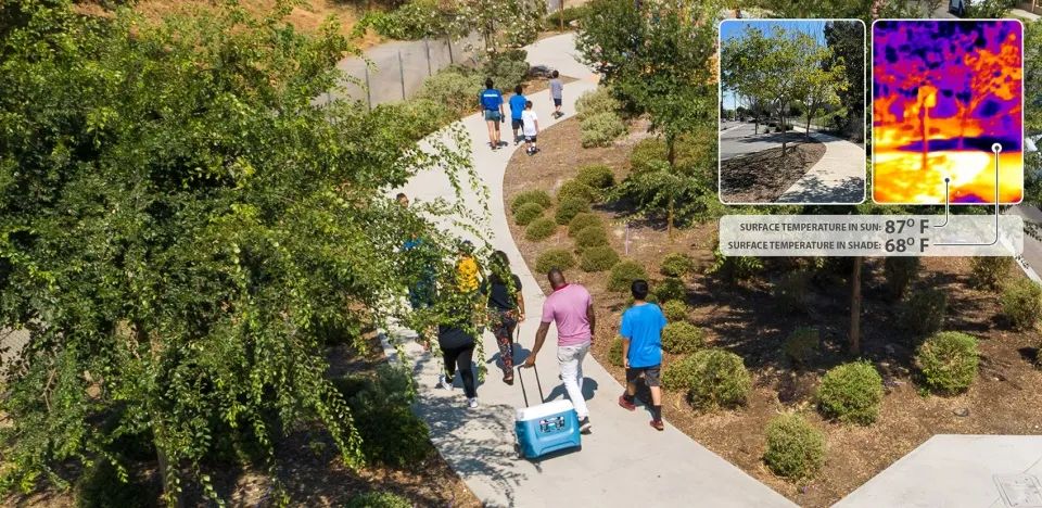 林蔭走廊：種植了超過300棵新樹的Ricardo Lara Linear Park線性公園極大地提升了附近地區的林蔭覆蓋率。茂密的樹冠為戶外運動、遊戲和休閒創造出舒適的空間。
