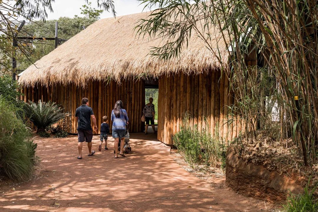 展示區入口 澳州伯斯動物園獅子展區Perth Zoo Orang-utan Exhibit /Iredale Pedersen Hook