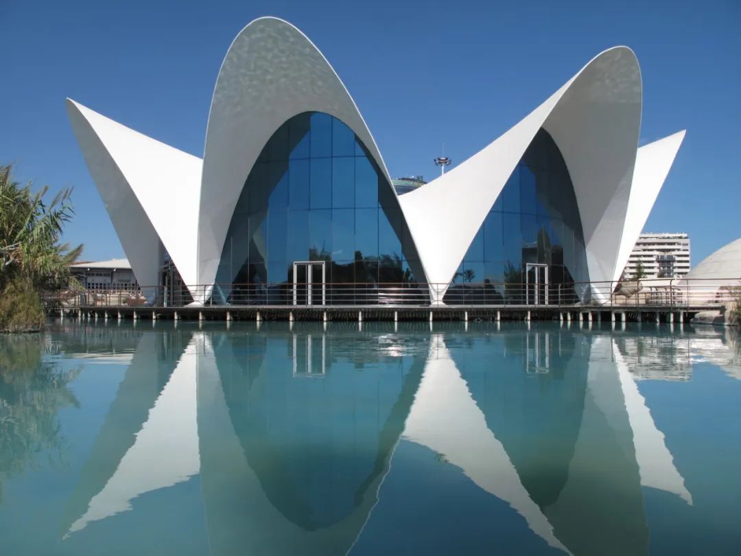Oceanografic Valencia採用「薄殼結構(Thin-Shell Structure)」,現代建築經常使用薄殼結構,由輕質混凝土構件組成的結構,通常用於屋頂