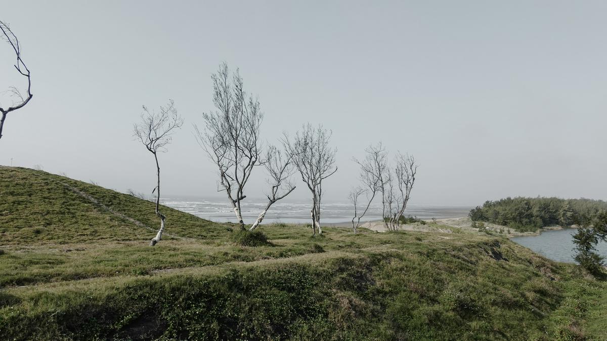 基地位於永安漁港的荒地,原為漁港淤砂堆置區,自然條件嚴峻強風吹拂下,寸土不生的貧瘠之地
