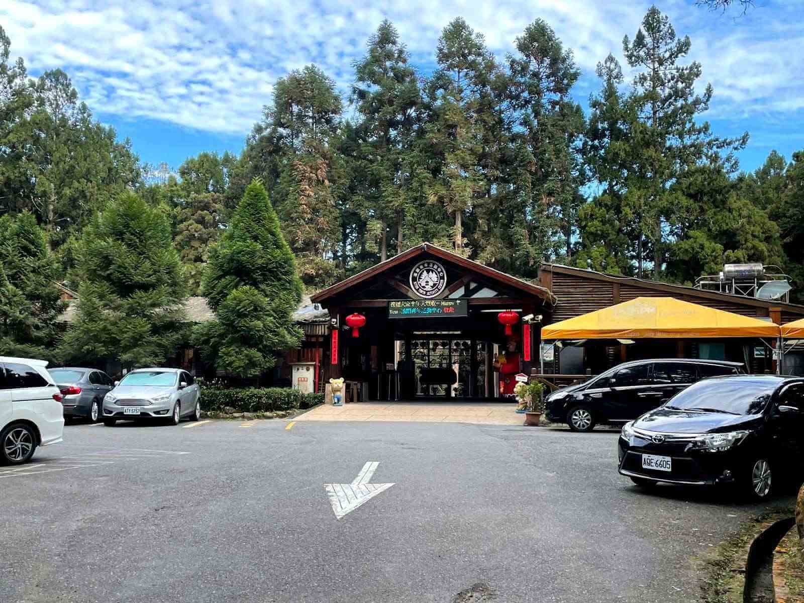 所有的大小車輛都可以直接開到溪頭青年活動中心。原有的寧靜的山林氣息就大大減少了