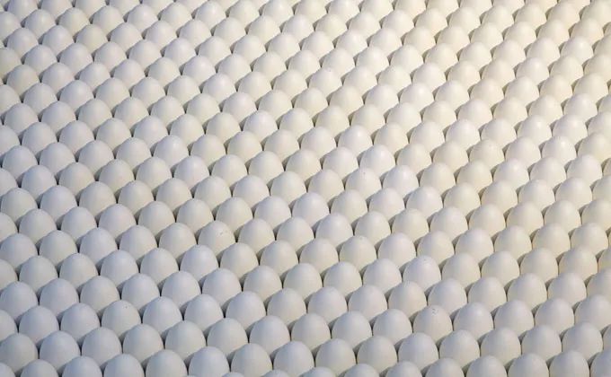 Amerikkka, 1991/2013. Marcos metálicos, madera, 20.000 huevos de madera pintados, 70.000 balas. . Foto: Galerie Lelong