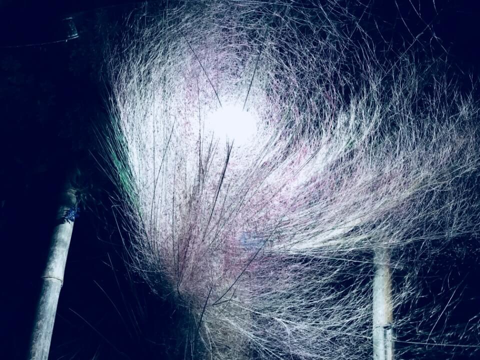 台北市西區門戶計畫，三井倉庫歷史建築景觀設計／吳書原 太研規劃設計