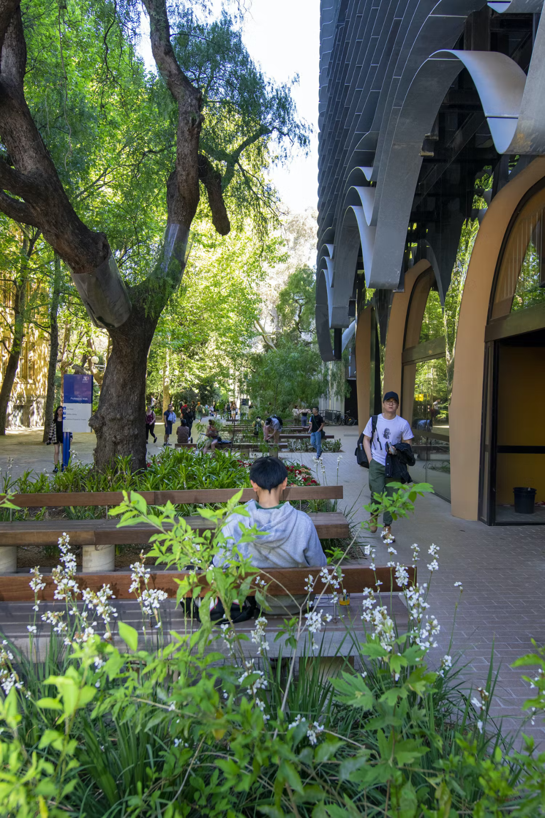 多層次生態綠化 澳洲墨爾本大學 Australia University of Melbourne Arts West大樓景觀設計 landscape architecture design／OCULUS