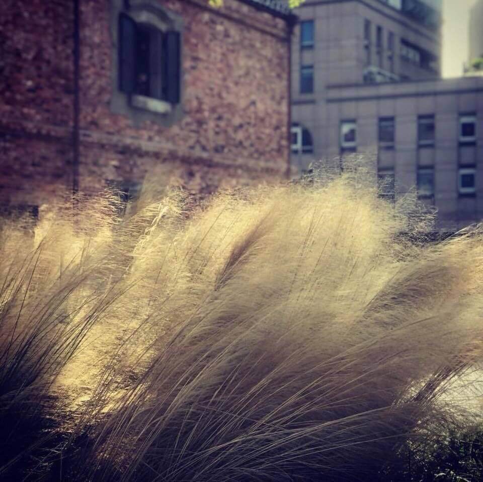 台北市西區門戶計畫，三井倉庫歷史建築景觀設計／吳書原 太研規劃設計