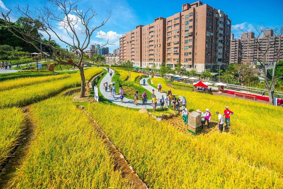大有梯田生態公園位於桃園區虎頭山風景區西北側山腳,民富十三街底(大有消防分隊旁),面積約2.1公頃。園區規劃有生態梯田區、美好食光區及森林挑戰區三大區域,各區特色分明。