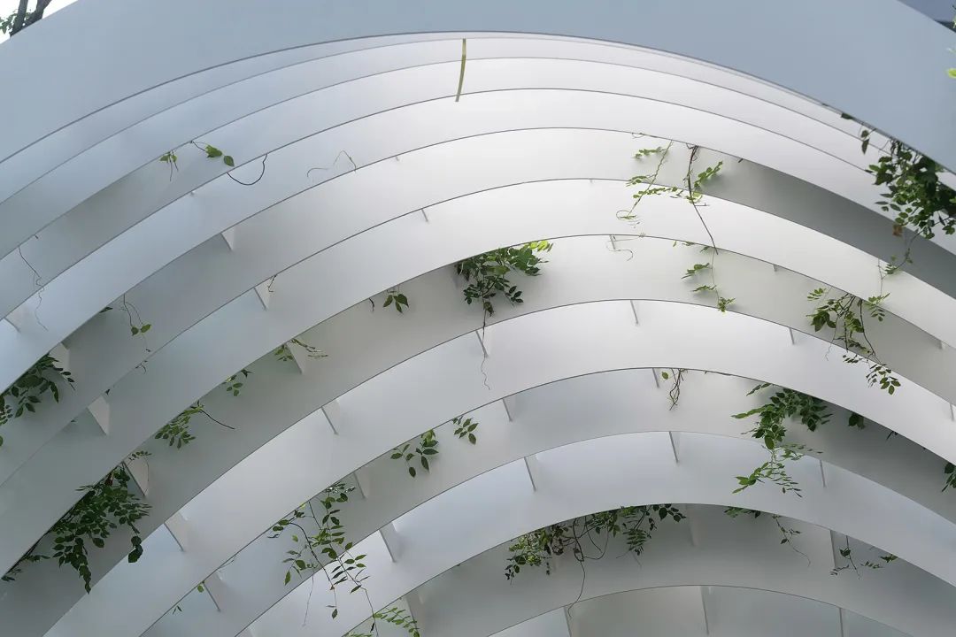 中國景觀設計 鄰里峽谷｜麓湖·汀院 china landscape design／大小景觀