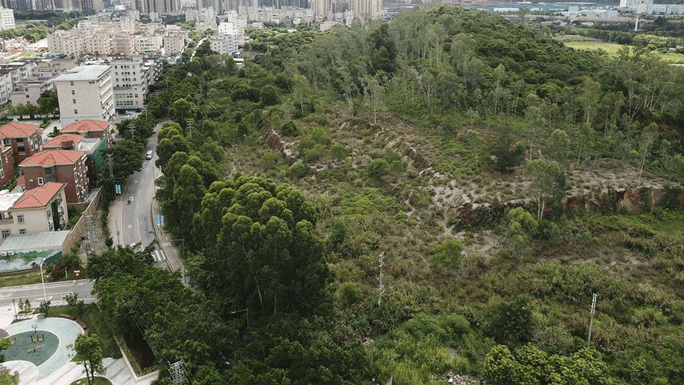 低干預下的自然改造 深圳坪山兒童公園 / WEi Studio