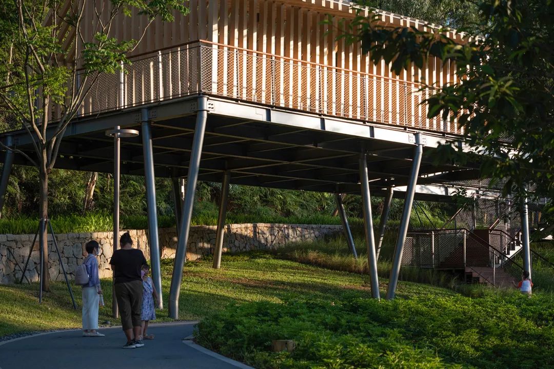 自然教育空中課堂 深圳坪山兒童公園 / WEi Studio