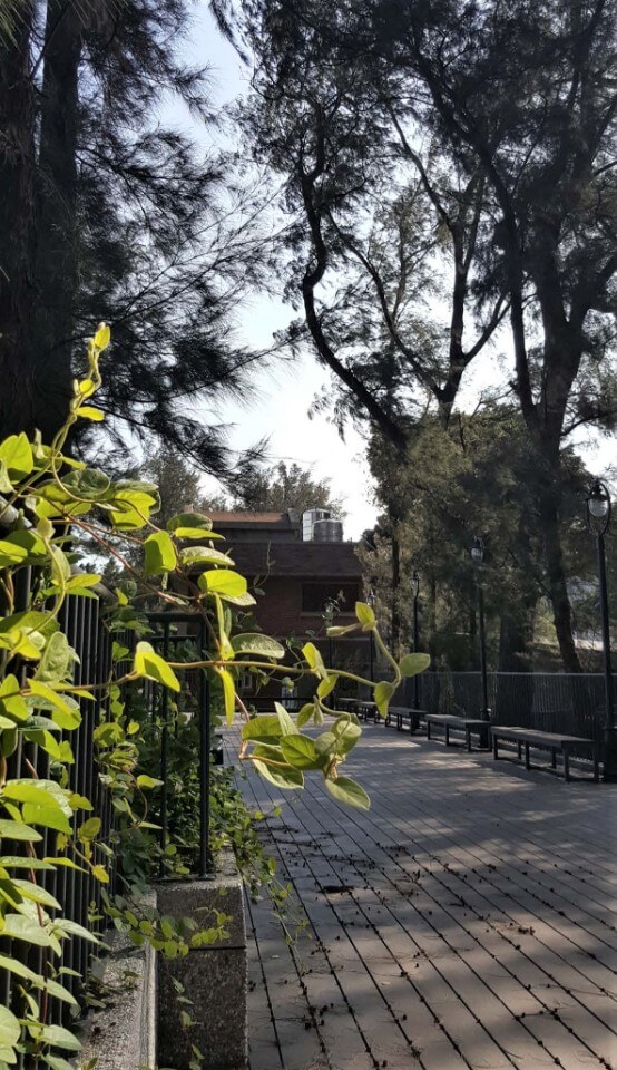 屋頂植栽槽詳圖 國立中央大學前門景觀平台／築匠建築師事務所
