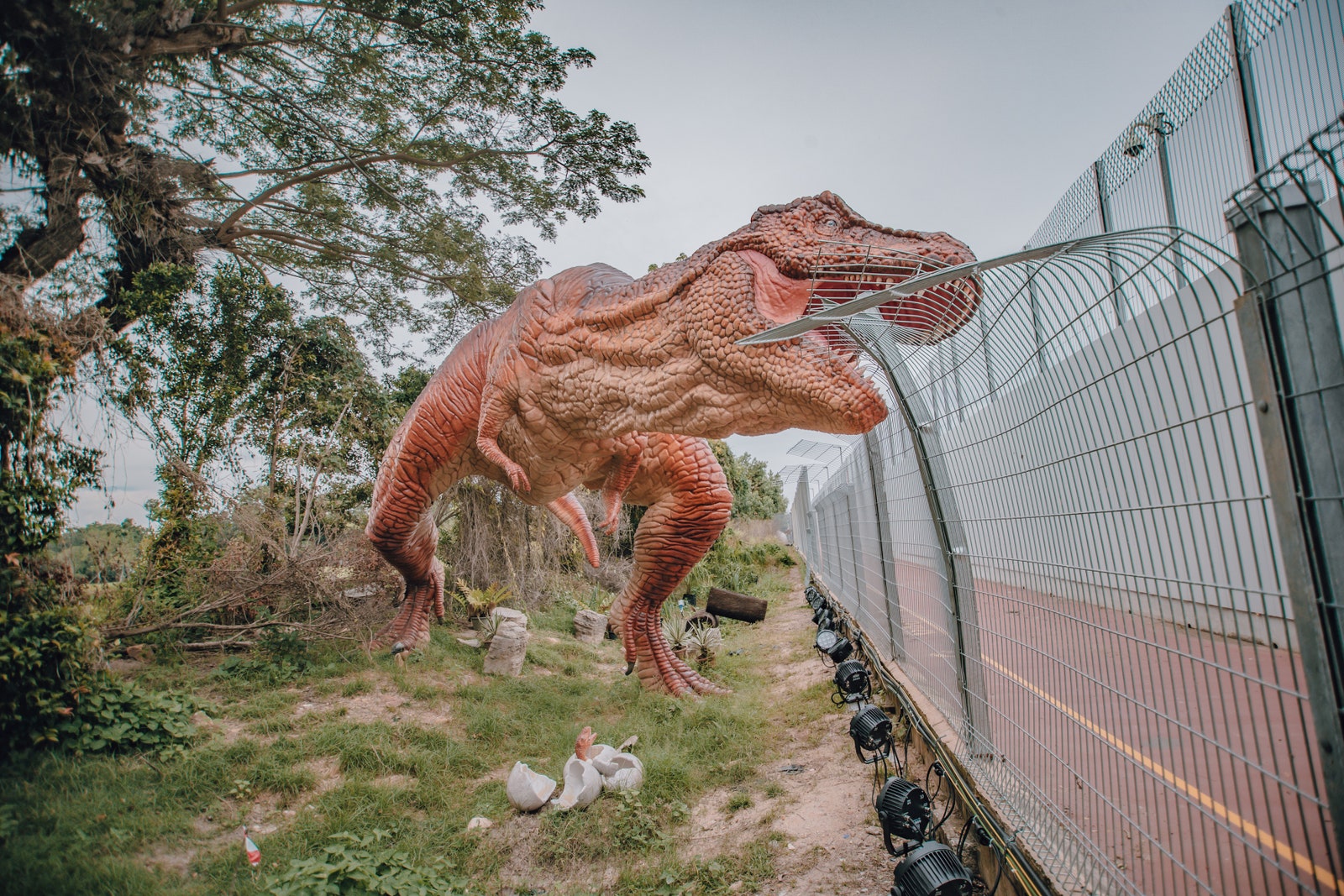 新加坡樟宜機場「JURASSIC MILE 侏羅紀步道」復刻電影場景