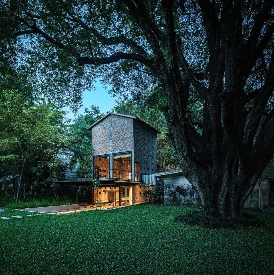 清邁Kaomai茶舍／PAVA architects
