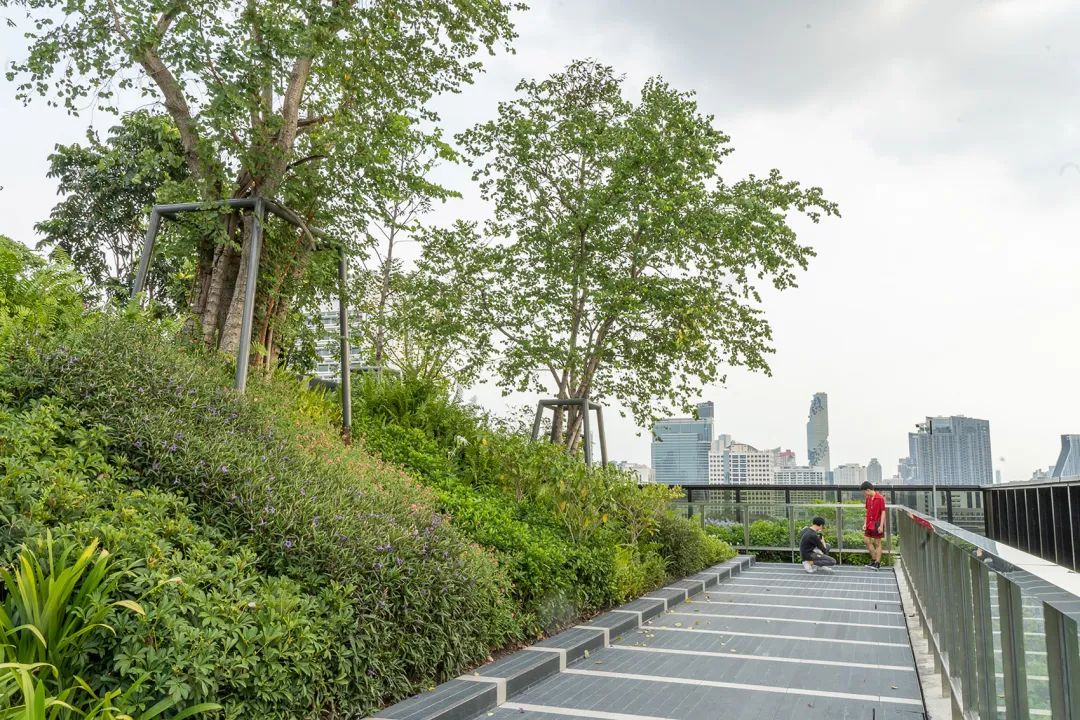 屋頂景觀步道　曼谷屋頂花園SKY FOREST SCAPE／Shma Company Limited