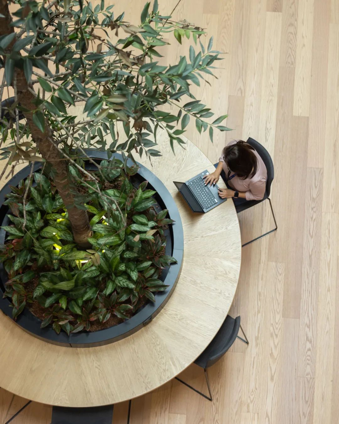新加坡戴森全球總部Dyson Global HQ／穆氏設計規劃 M Moser Associates