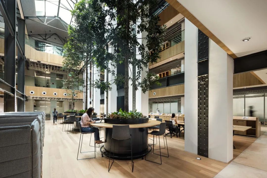 新加坡戴森全球總部Dyson Global HQ／穆氏設計規劃 M Moser Associates