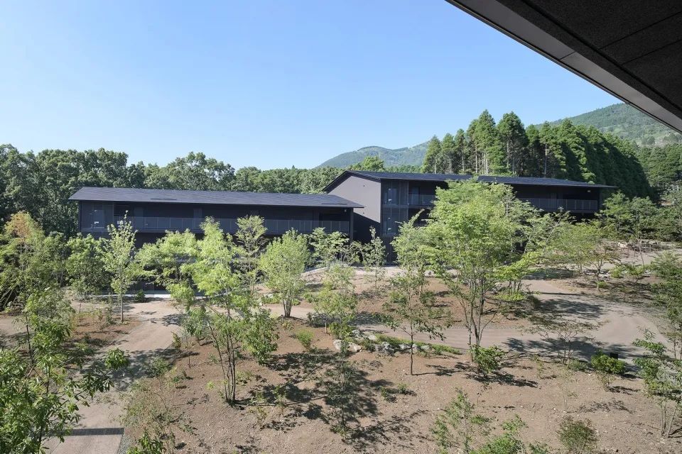 星野集團 界 由布院 溫泉旅館Hoshino KAI Yufuin／Kengo Kuma 隈研吾