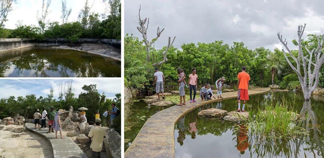 Leon Levy Native Plant Preserve原生植栽保護區淡水濕地展區建造前、建造中和完工後的照片對比。對兒童、尤其是對巴哈馬本地兒童的教學和宣傳活動是保護區使命宣言中的六個主要內容之一