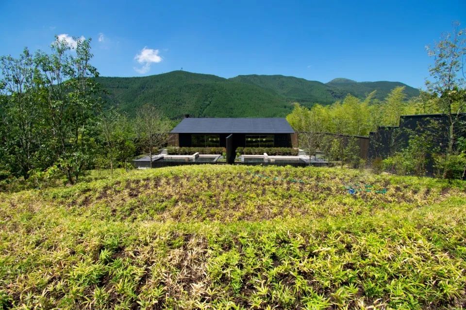 星野集團 界 由布院 溫泉旅館Hoshino KAI Yufuin／Kengo Kuma 隈研吾