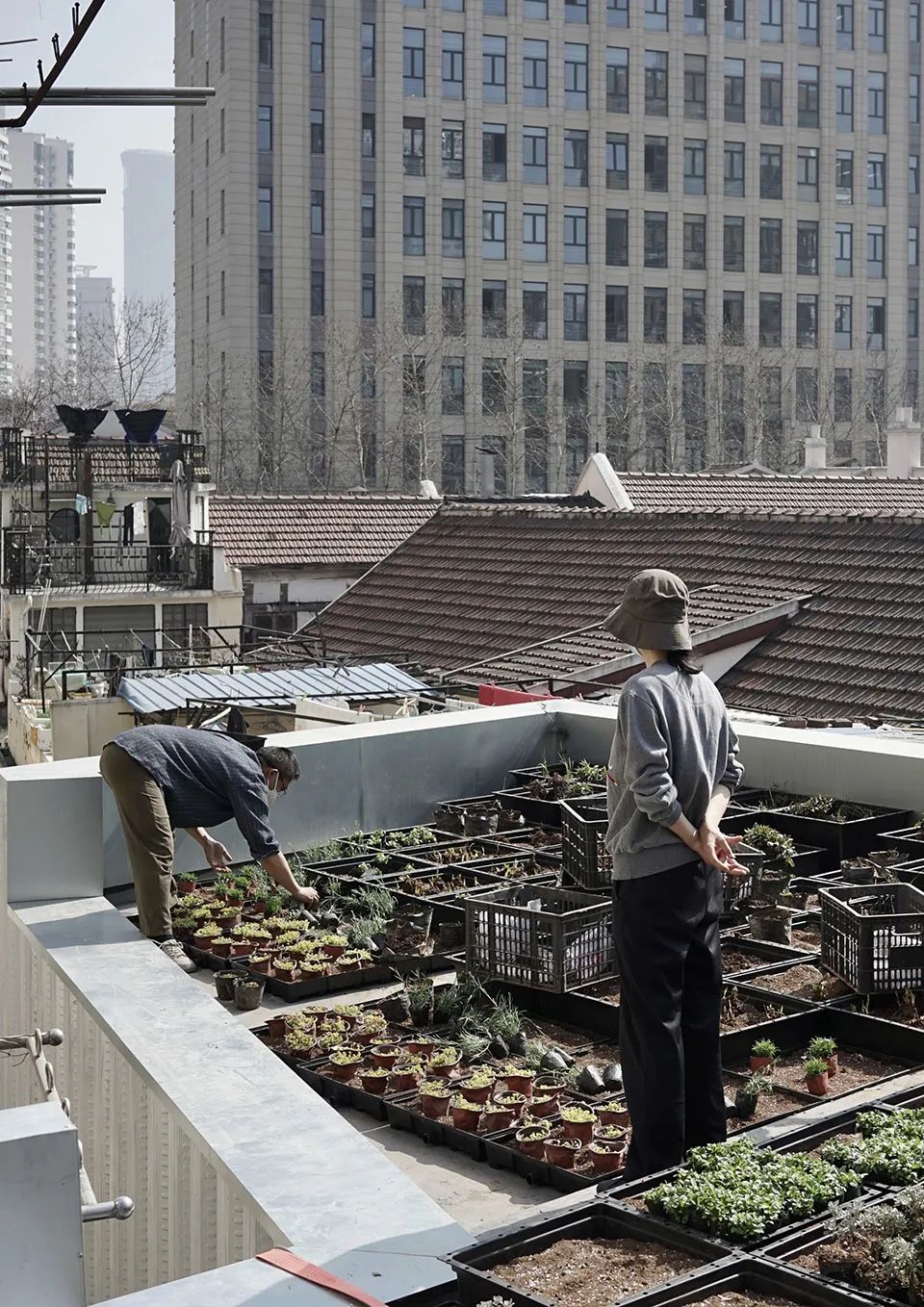 屋頂與「城市荒野」合作進行種植，也遵循門市的整體概念：促進社區的生物多樣性，並與相鄰建築的公共屋頂露台相互連接，綠屋頂選擇了上海本土植栽，適應當地的季節性變化