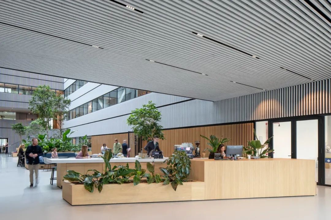 阿姆斯特丹科學園區Matrix ONE／MVRDV 中庭空間作為半正式的工作空間