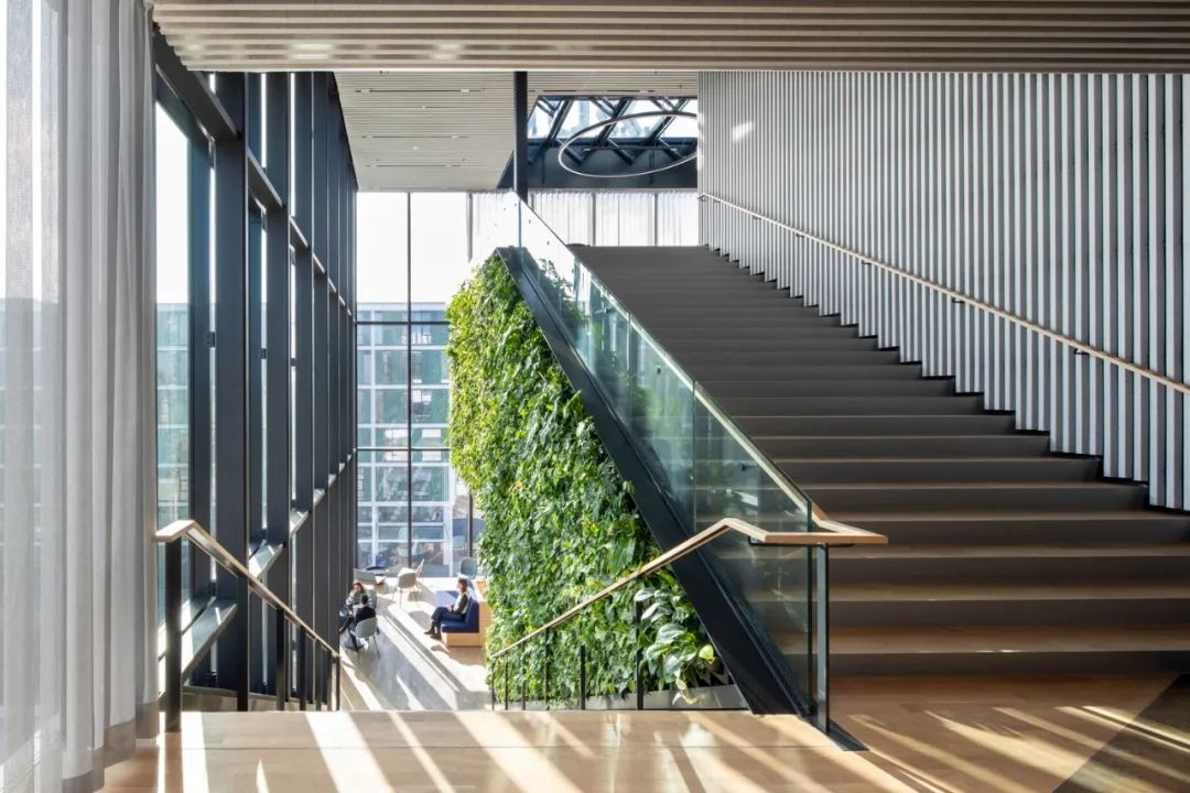 充滿自然光的樓梯間 阿姆斯特丹科學園區Matrix ONE／MVRDV